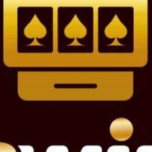 Profile photo of 3winvnco